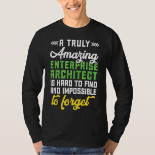 Phantastisch Enterprise Architecture Computer Scie T-Shirt