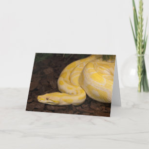 Phantastisch-Gelbe Burmese-Python Karte