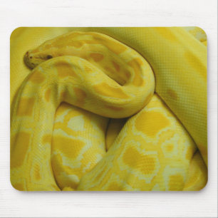 Phantastisch-Gelbe Burmese-Python Mousepad