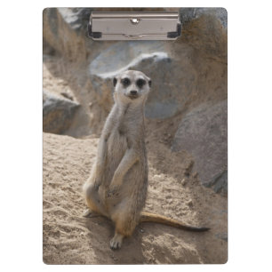 Phantastisch Meerkat Klemmbrett