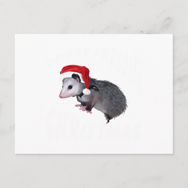 Phantastisch Possum Weihnachten (Vorderseite)