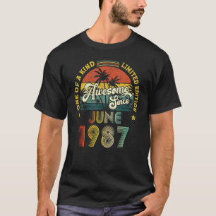 Phantastisch seit Juni 1987 35 Jahre alt 35. Gebur T-Shirt