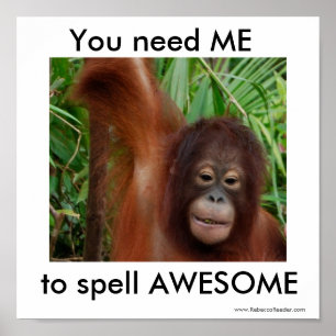 Phantastisch: Sie brauchen mich Poster