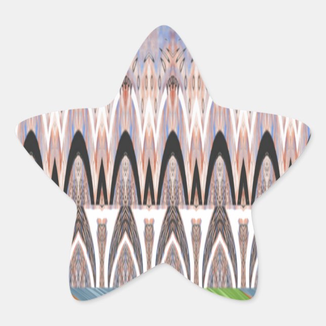 Phantastische Abstrakte Musterkunst Stern-Aufkleber (Vorderseite)