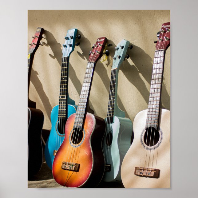 Phantastische akustische Gitarre Poster (Vorne)