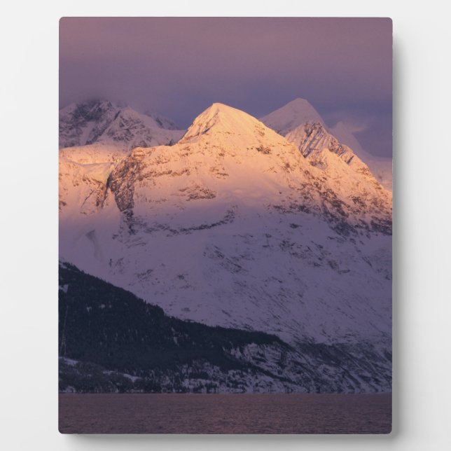 Phantastische Alpengabe Fotoplatte (Vorderseite)