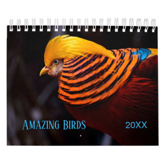 Phantastische BIRDS Fotografie Kalender