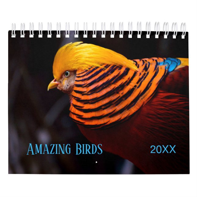 Phantastische BIRDS Fotografie Kalender (Titelbild)
