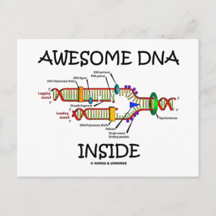 Phantastische DNA im Inneren Postkarte