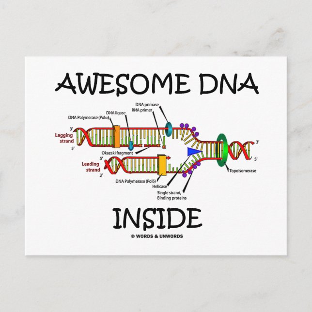 Phantastische DNA im Inneren Postkarte (Vorderseite)