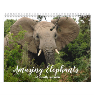 Phantastische Elefanten 2026 Kalender