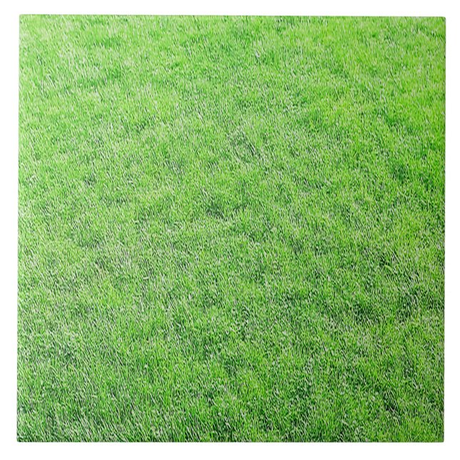 Phantastische grüne Grasplatte Fliese (Vorderseite)