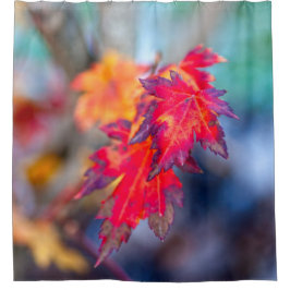 Phantastische japanische Ahorn-Blätter Duschvorhang