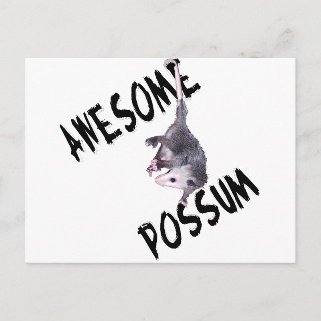 Phantastische Possum Opossum Postkarte (Vorderseite)