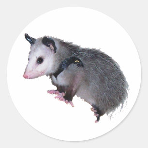 Phantastische Possum Opossum Runder Aufkleber