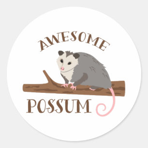 Phantastische Possum Runder Aufkleber