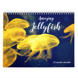 Phantastische Quallen 2026 Kalender