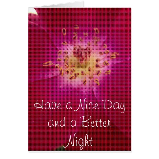 Phantastische Rose.jpg (Vorne)