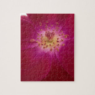 Phantastische Rose.jpg Puzzle