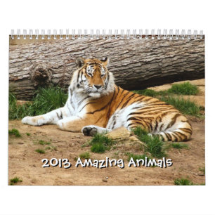 phantastische Tiere - 12 Monate Kalender 2013