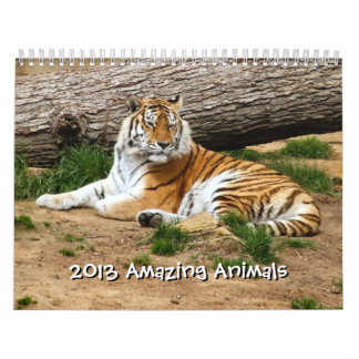 phantastische Tiere - 12 Monate Kalender 2013
