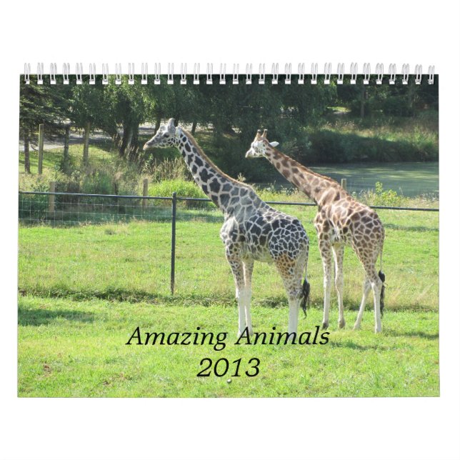 Phantastische Tiere 2013 Kalender (Titelbild)