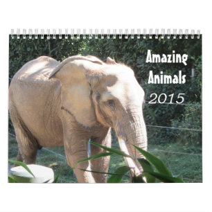 Phantastische Tiere 2015 Kalender