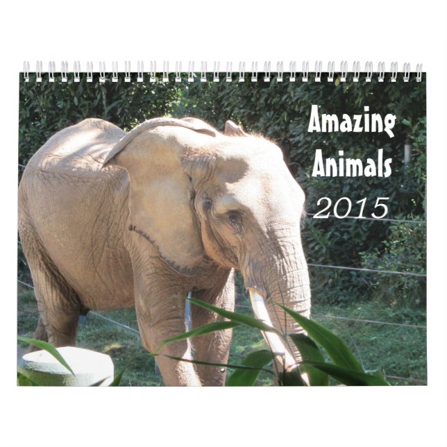 Phantastische Tiere 2015 Kalender (Titelbild)