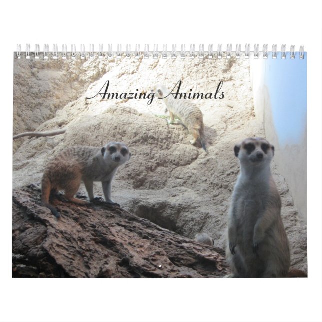 Phantastische Tiere Kalender (Titelbild)
