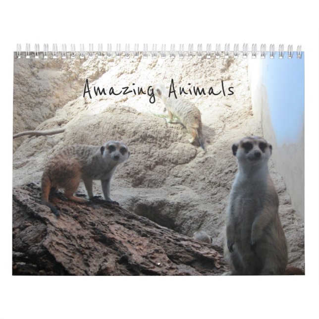 Phantastische Tiere Kalender (Titelbild)