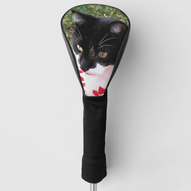 Phantastische Tuxedo Katze im Garten Golf Headcover (Vorderseite)