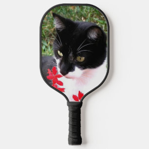 Phantastische Tuxedo Katze im Garten Pickleball Schläger