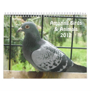 Phantastische Vögel und Tiere 2012 Kalender
