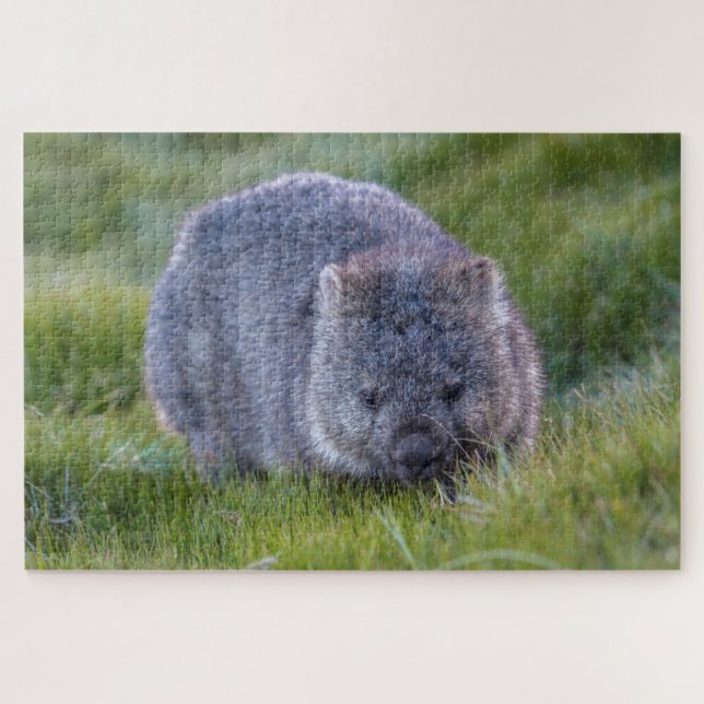 Phantastische Wombat im Grass Australien, 1014 Stü Puzzle (Horizontal)