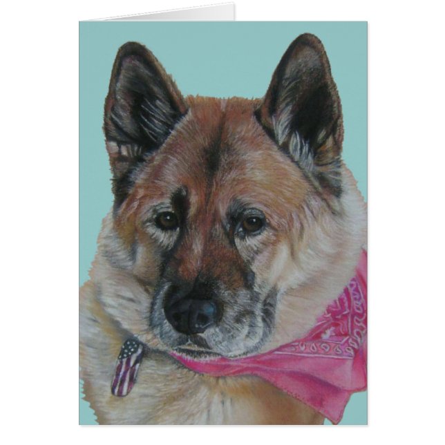 phantastischer akita pink scarusa usa Fahnenschild (Vorne)