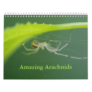 Phantastischer Arachnids-Spider-Kalender Kalender