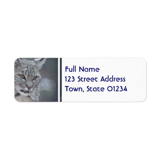 Phantastischer Bobcat (Vorne)