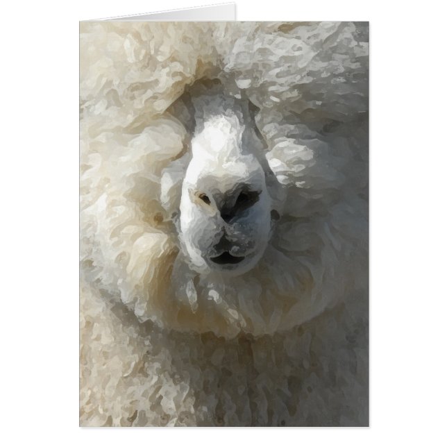 Phantastischer Gandalf (Vorne)