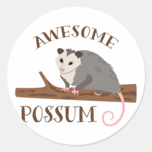 Phantastischer Possum Runder Aufkleber