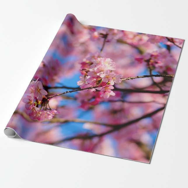 Phantastischer rosa Sakura und blauer Himmel Geschenkpapier (Ungerollt)