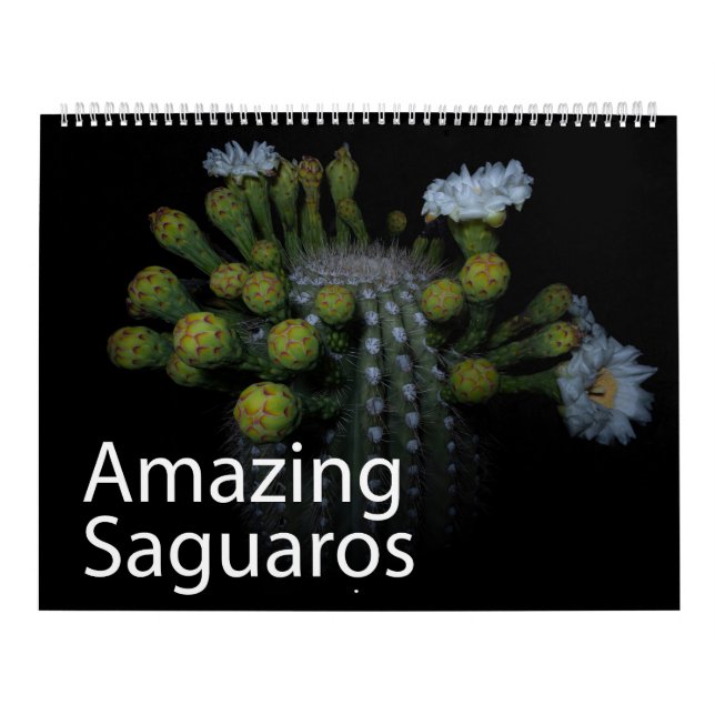 Phantastischer Saguaros-Kalender Kalender (Titelbild)