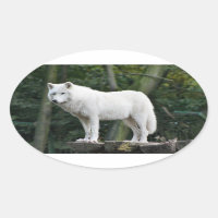Phantastischer Weißwolf