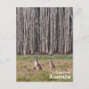 Phantastisches Australien Postkarte