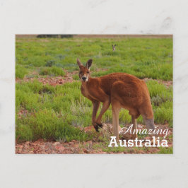 Phantastisches Australien Postkarte