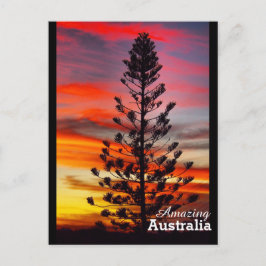 Phantastisches Australien Postkarte