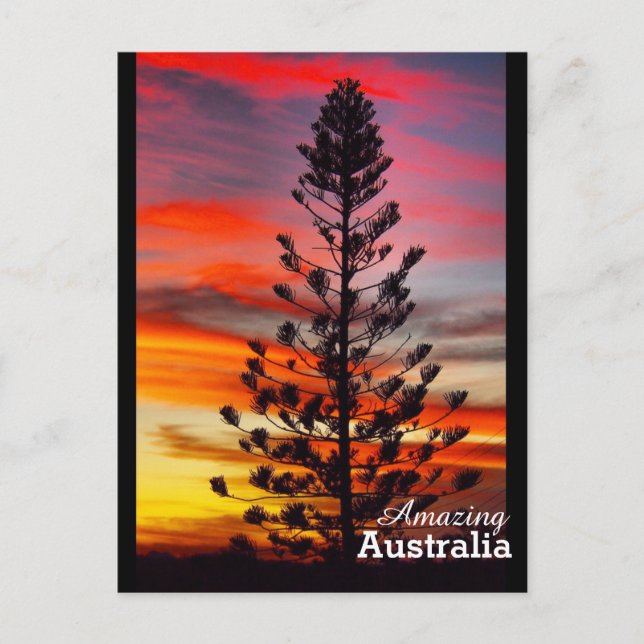 Phantastisches Australien Postkarte (Vorderseite)