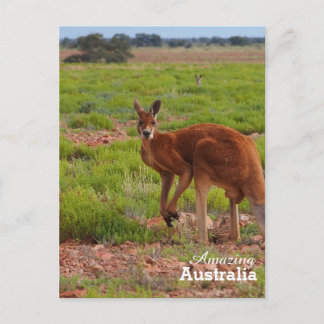 Phantastisches Australien Postkarte