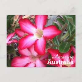 Phantastisches Australien Postkarte
