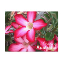 Phantastisches Australien Postkarte