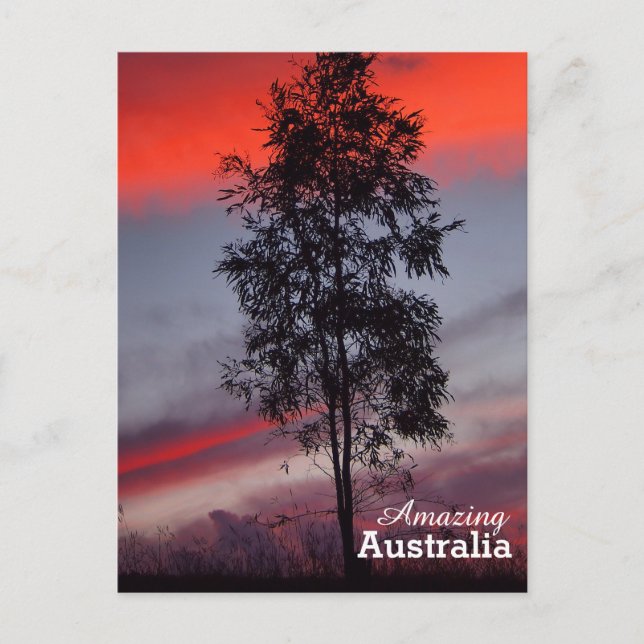 Phantastisches Australien Postkarte (Vorderseite)